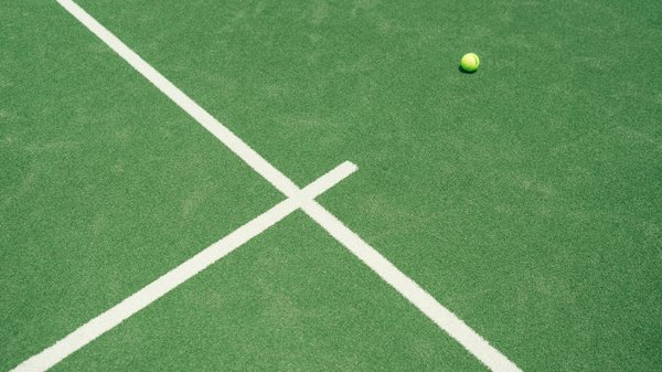 Gros plan sur le rôle de l'arbitre lors d'un match de basket